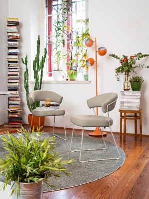 NY anniversary dining chair - myhome